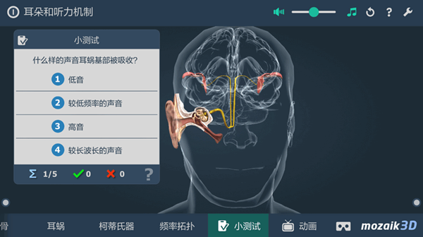 耳朵和听力机制截图1