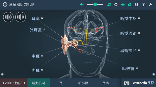 3D人体耳朵app图片1