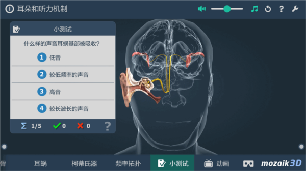 3D人体耳朵app图片3