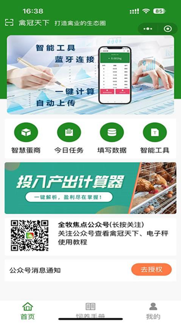 禽冠天下图片