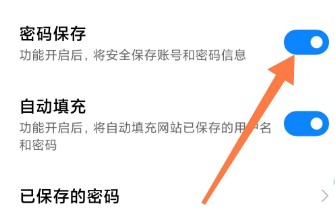 星尘浏览器HD密码保存教程图片4