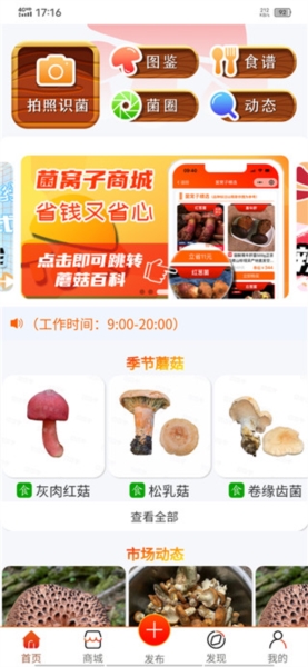 菌窝子拍照识菌图片1