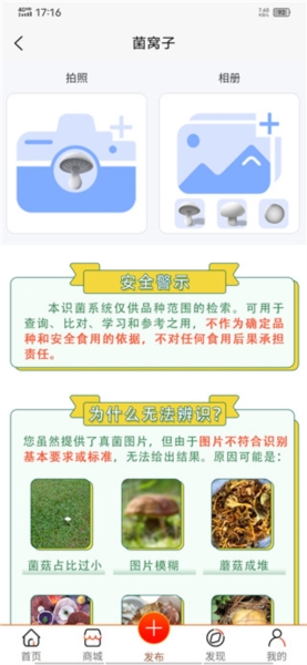 菌窝子拍照识菌图片2