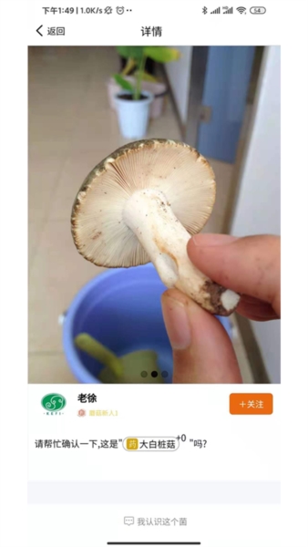 菌窝子图片1