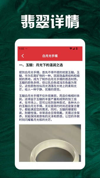 翡了个翠截图3