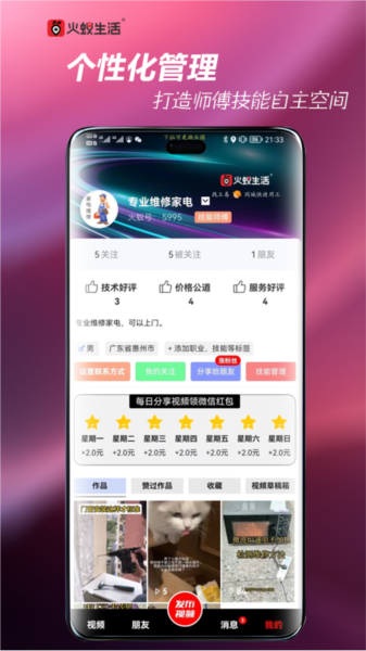 火蟻生活圖片2