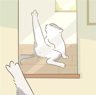 遇见你的猫图片20