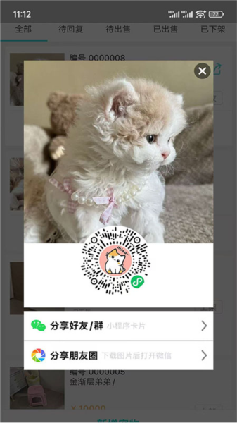 智慧喵图片