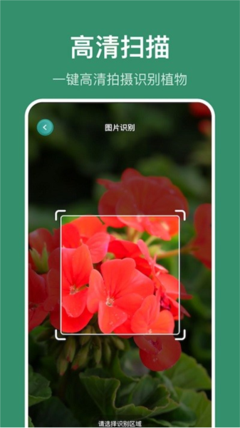 小黄养花app图片1