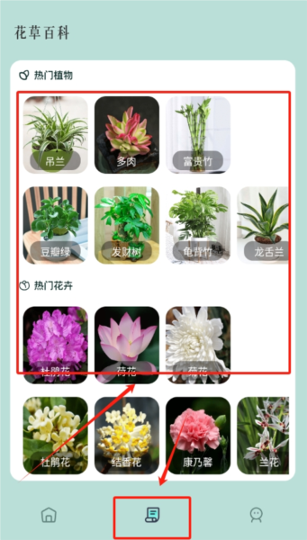 小黄养花app图片3