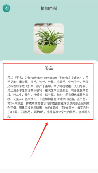 小黄养花app图片4
