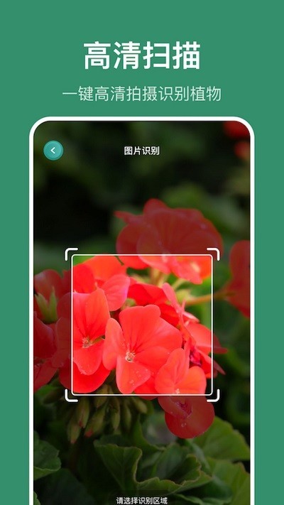 小黄养花截图2