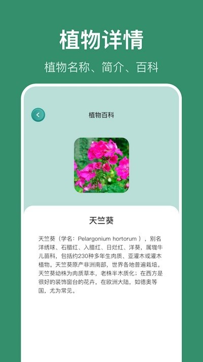 小黄养花截图1