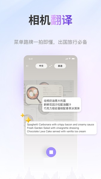 ViiTor实时翻译软件截图3