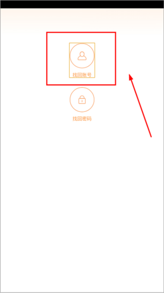 疯狂动物园图片19