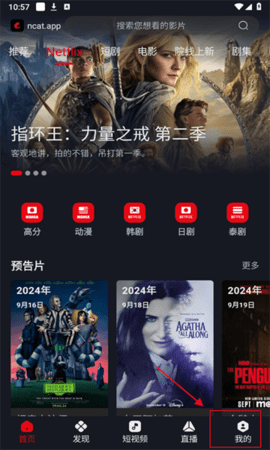 网飞猫图片3