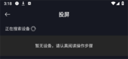 网飞猫图片10