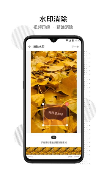 闪电去水印图片1