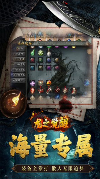 龙之觉醒4