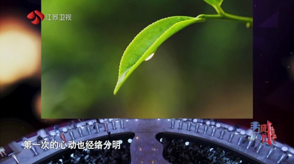 波哥影视TV盒子截图3