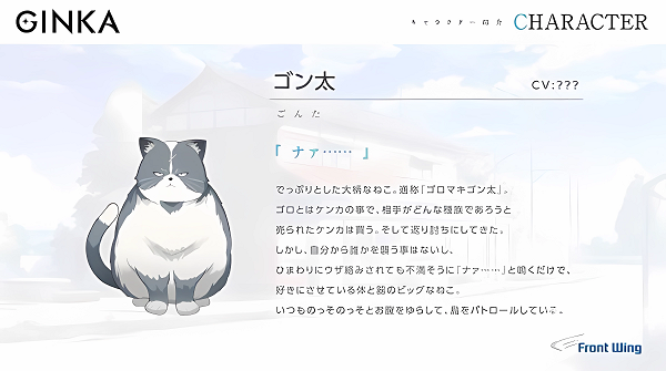 GINKA图9