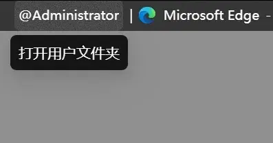 Seelen UI图片6