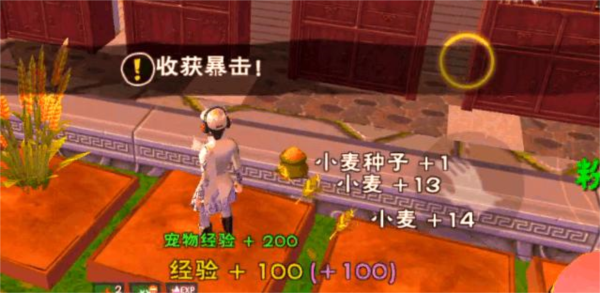 创造与魔法攻略1