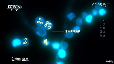 小乐TV图3