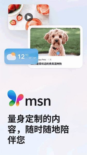 MSN手机版截图2
