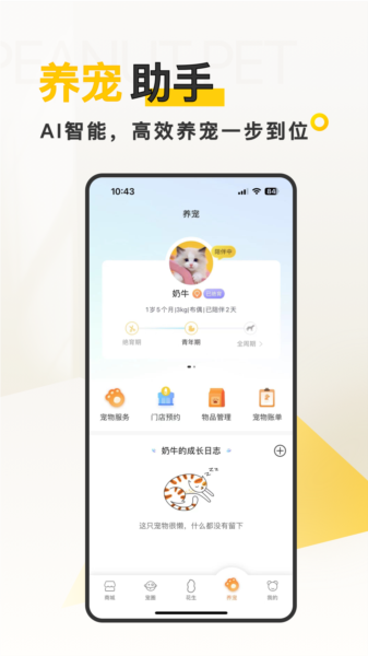 花生宠物图片