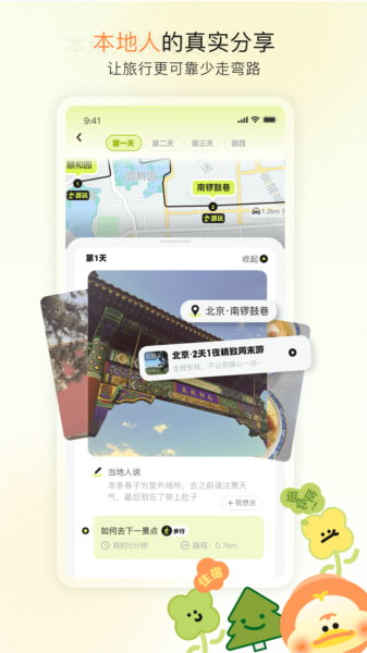 游鸭图片