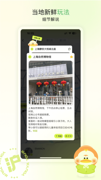游鸭图片