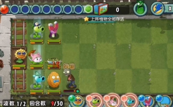 植物大战僵尸全明星图片2