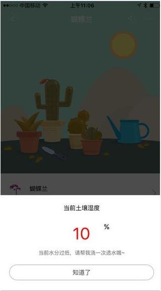 花花草草5