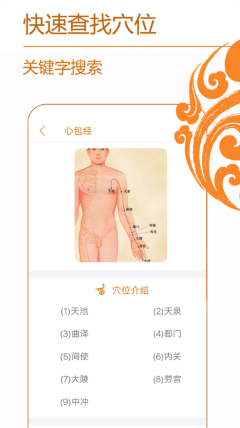 经络养生图片
