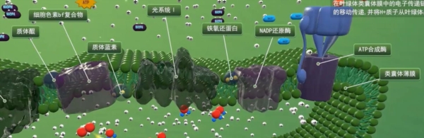 矩道初中生物VR3D虚拟仿真实验室图片