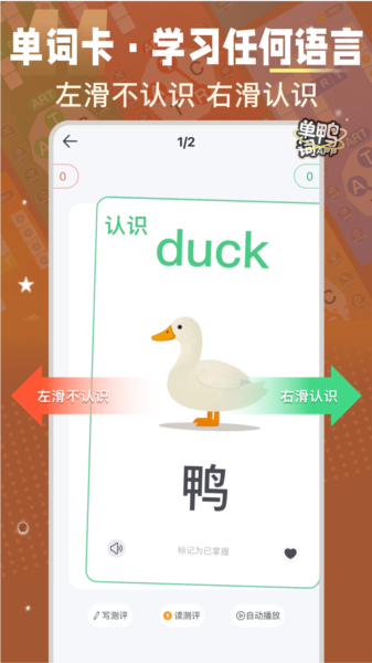 单词鸭图片