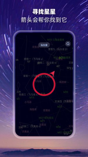 sky live图5