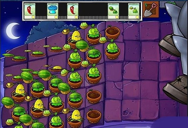 植物大战僵尸2010年度版图片23