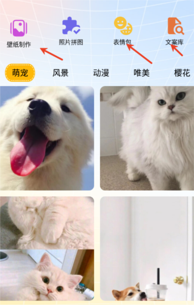 趣美壁纸图片