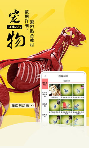3Dbody宠物图片