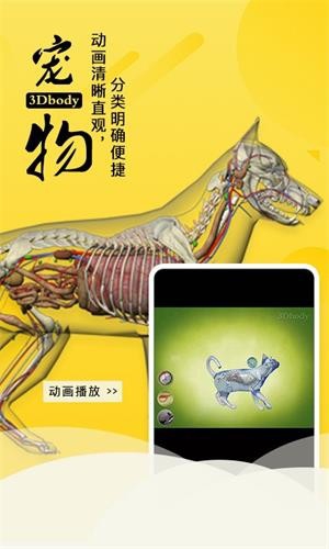 3Dbody宠物图片