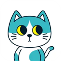 东呈青猫会