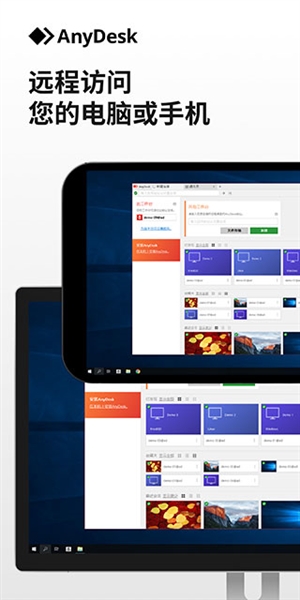 AnyDesk图2