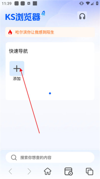 KS浏览器图片