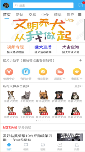 猛犬俱乐部图片