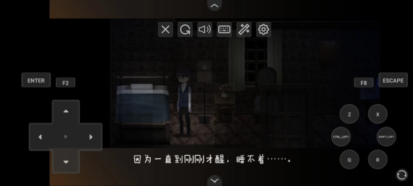 黑暗中的女仆游戏2