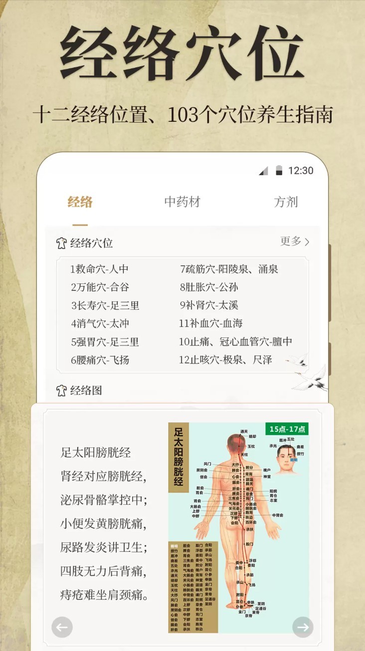 中医iBody经络穴位app3