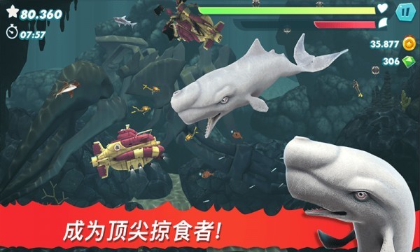 饥饿大白鲨无限金币版2
