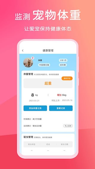 宠饭3